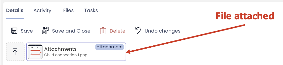 A screenshot demonstrating what an Attachment will look like once it is uploaded. The attachment has an icon, a title, and the file type or extension.